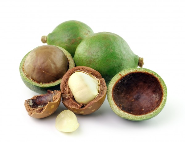 Macadamiaolje